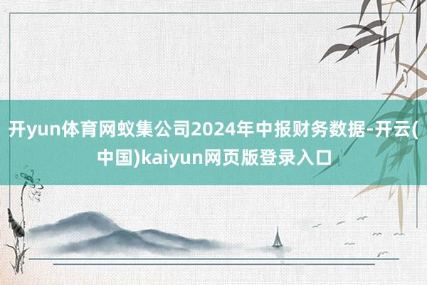 开yun体育网蚁集公司2024年中报财务数据-开云(中国)kaiyun网页版登录入口