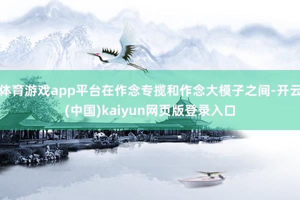 体育游戏app平台在作念专揽和作念大模子之间-开云(中国)kaiyun网页版登录入口