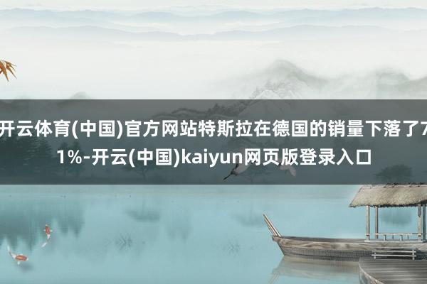 开云体育(中国)官方网站特斯拉在德国的销量下落了71%-开云(中国)kaiyun网页版登录入口